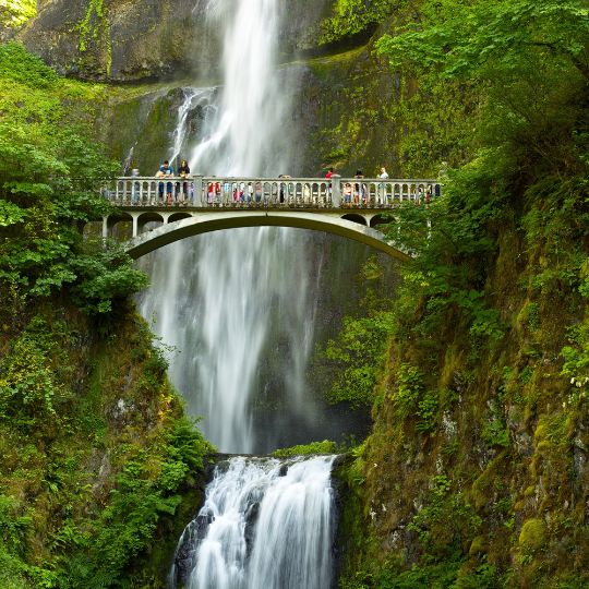 multnomah falls